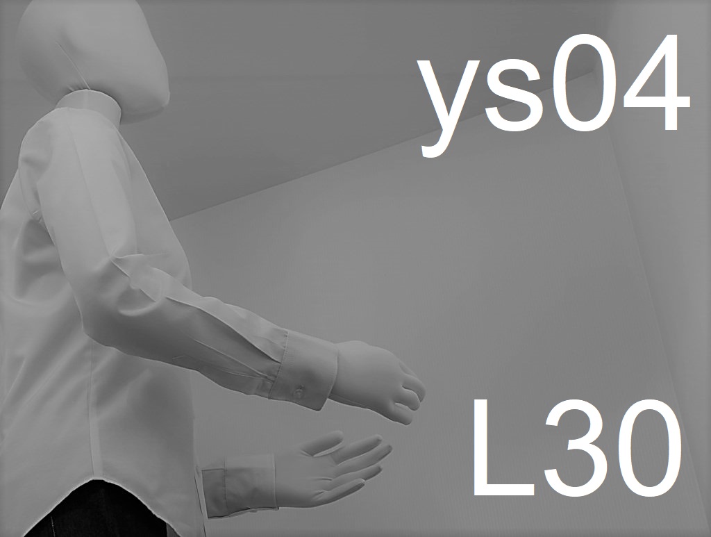 ys04-L30-eyes