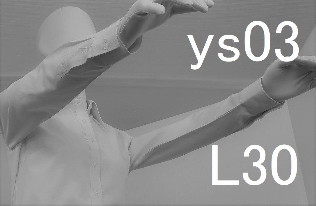 ys03-L30-eye