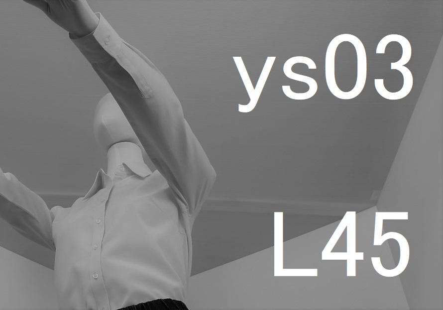 ys03-L45-eye