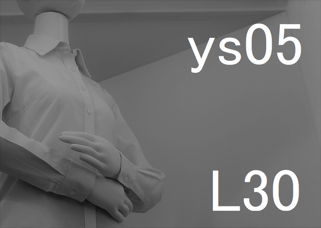 ys05-L30-eyes