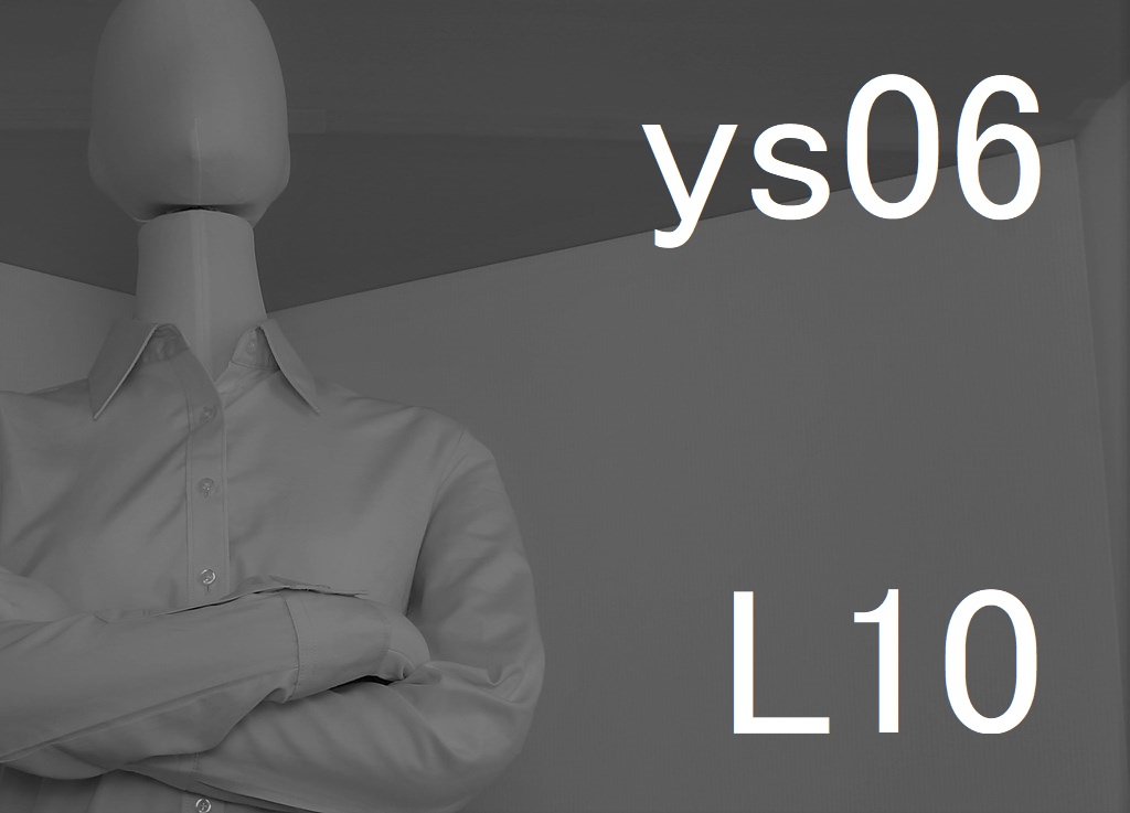 ys06-L10-eye