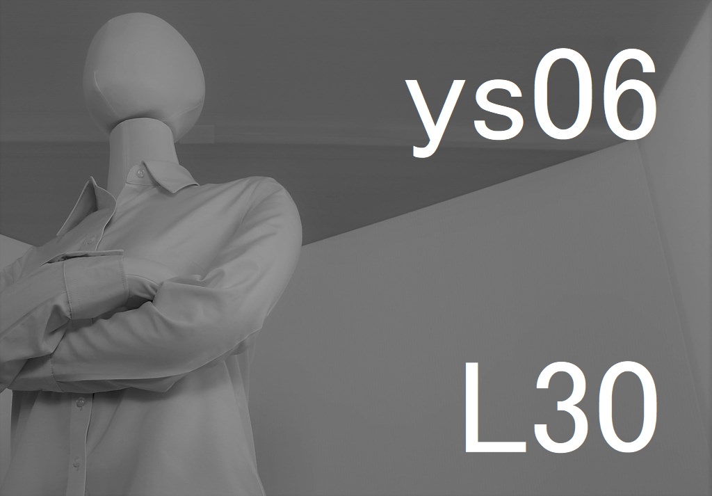 ys06-L30-eye
