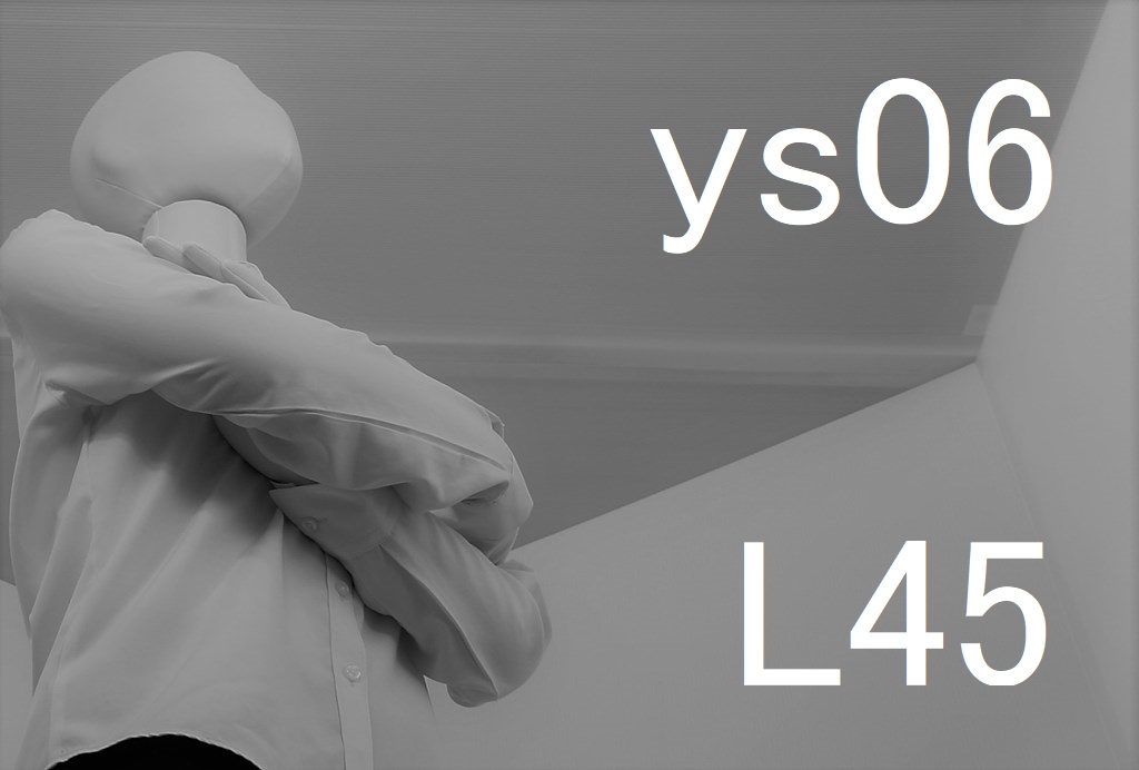 ys06-L45-eye