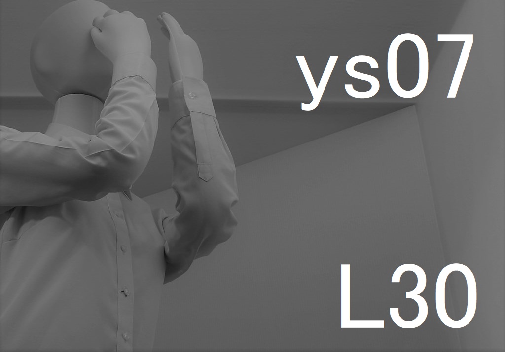 ys07-L30-eyes