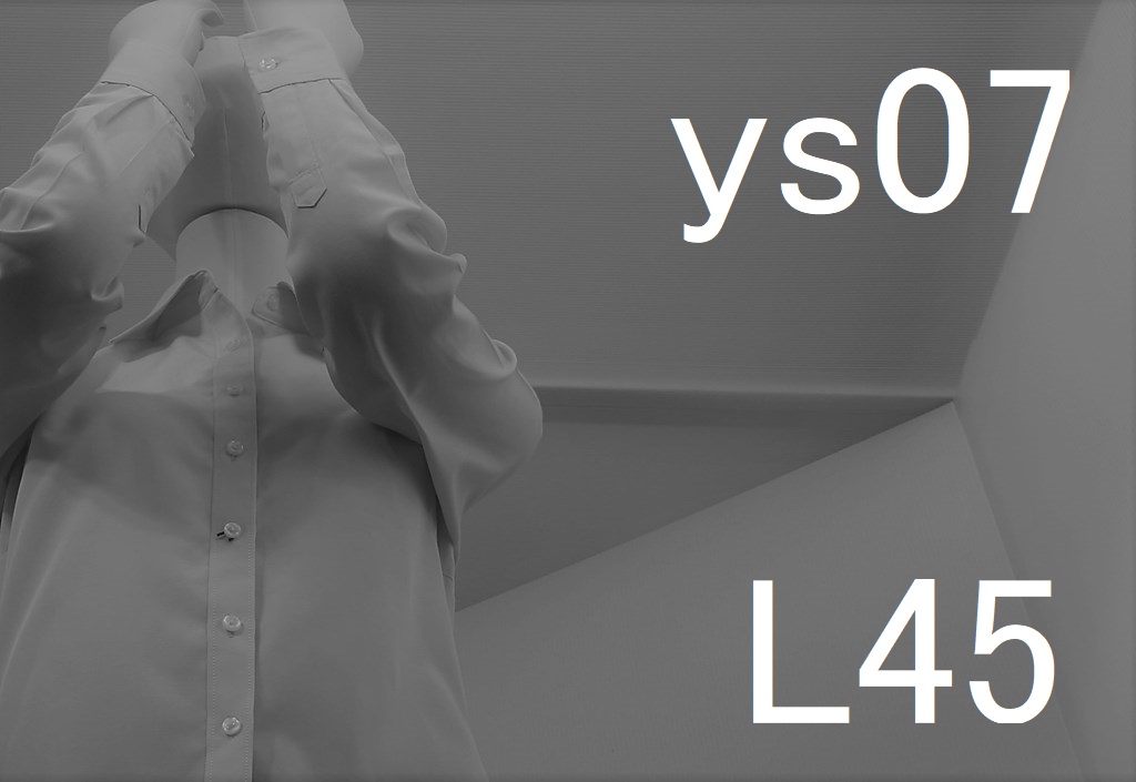 ys07-L45-eyes