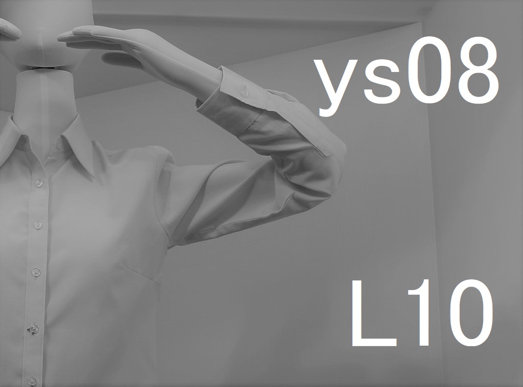 ys08-L10-eye
