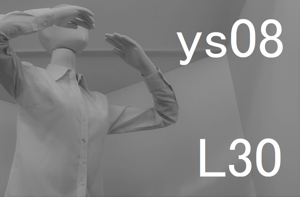 ys08-L30-eye