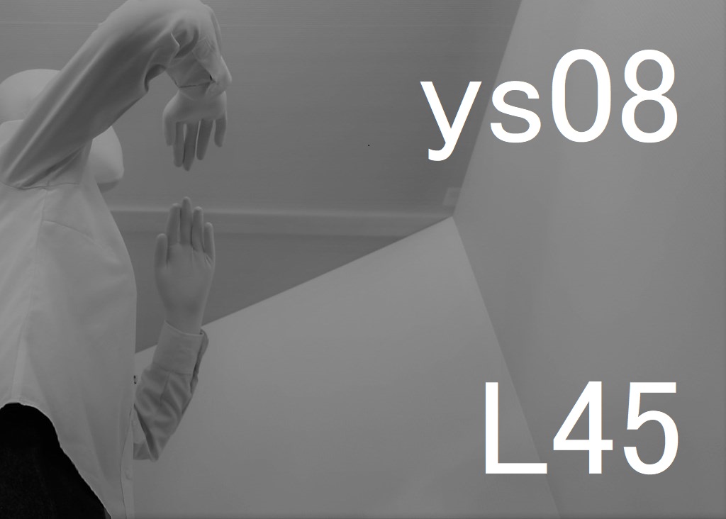 ys08-L45-eye