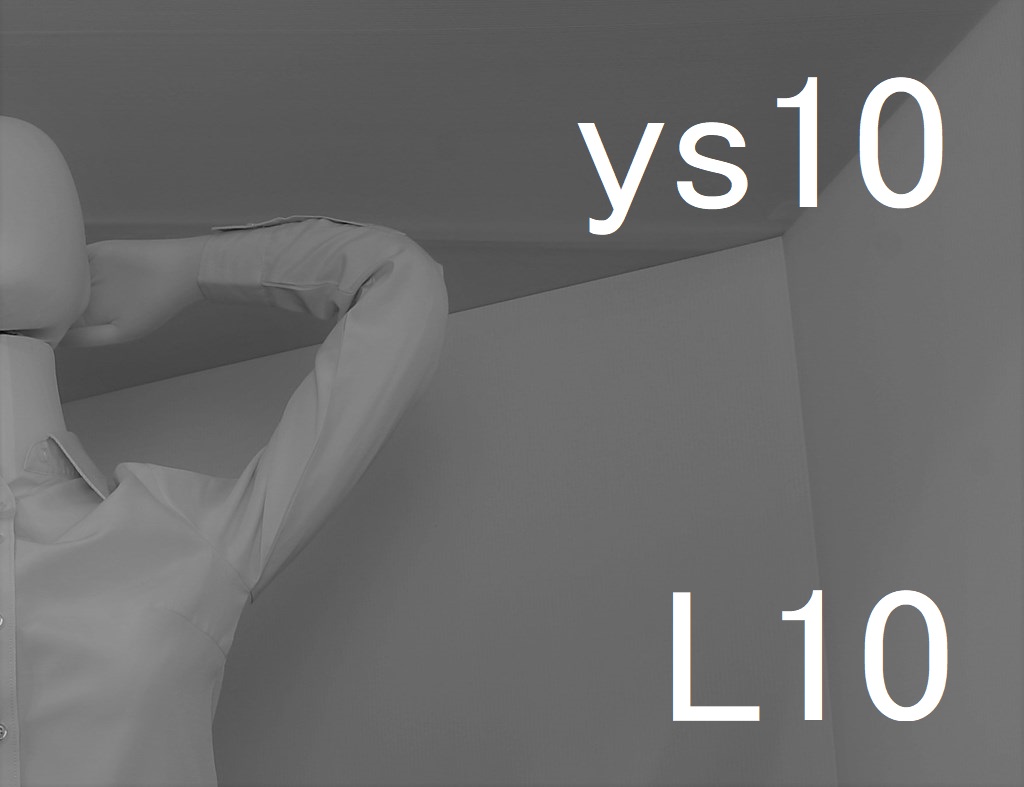ys10-L10-eye