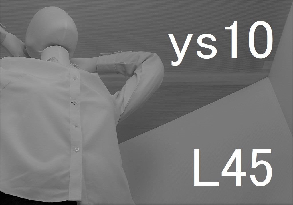 ys10-L45-eye