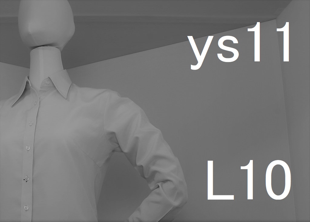 ys11-L10-eye