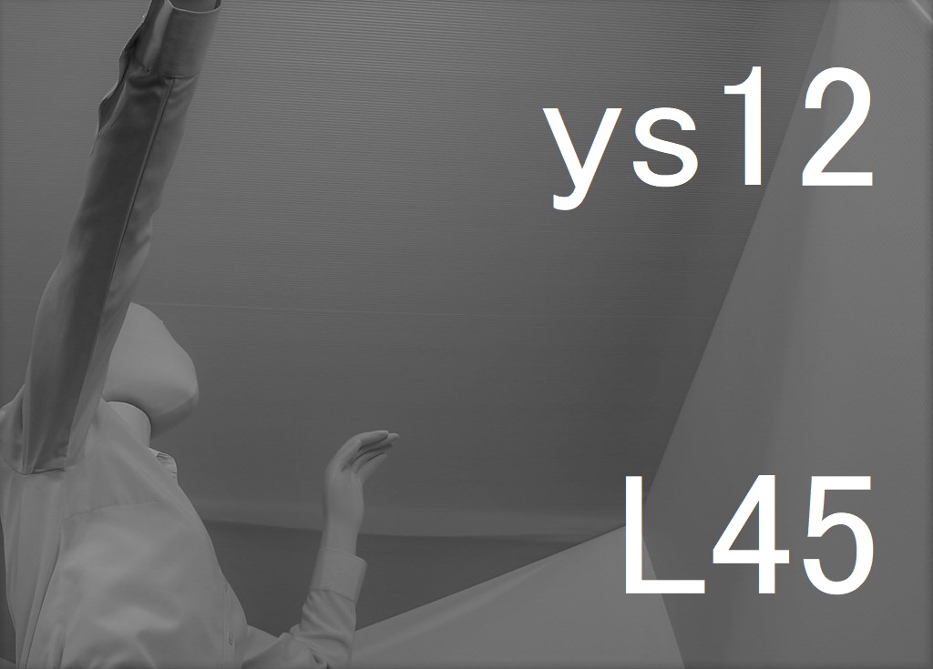 ys12-L45-eye