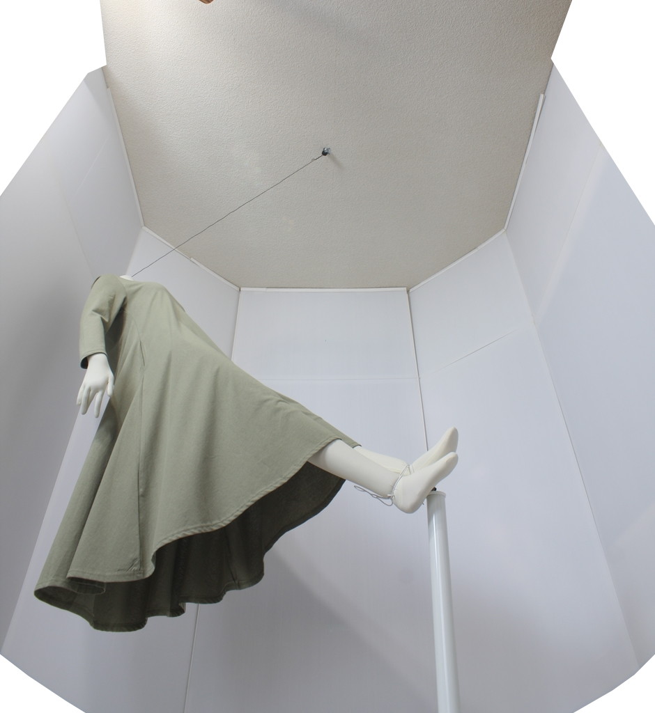 cd35-L45-100